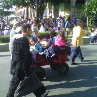 Reportan los primeros extraviados durante Romería