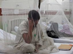 Yucatán continúa en el segundo lugar nacional, con mayor incidencia de la enfermedad. ARCHIVO  /