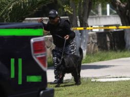 En Bogotá fueron detenidos un total de 71 manifestantes por participar en desórdenes públicos. ARCHIVO  /