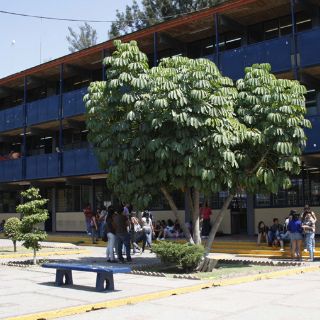 El gasto corriente asfixia a la educación