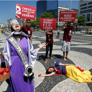 PNUMA pide más atención al medioambiente