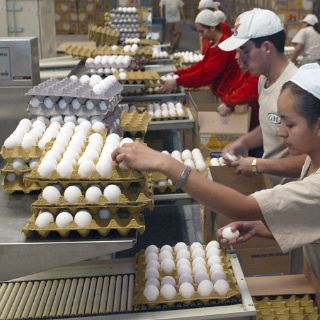 Avicultores arremeten contra Bruno Ferrari