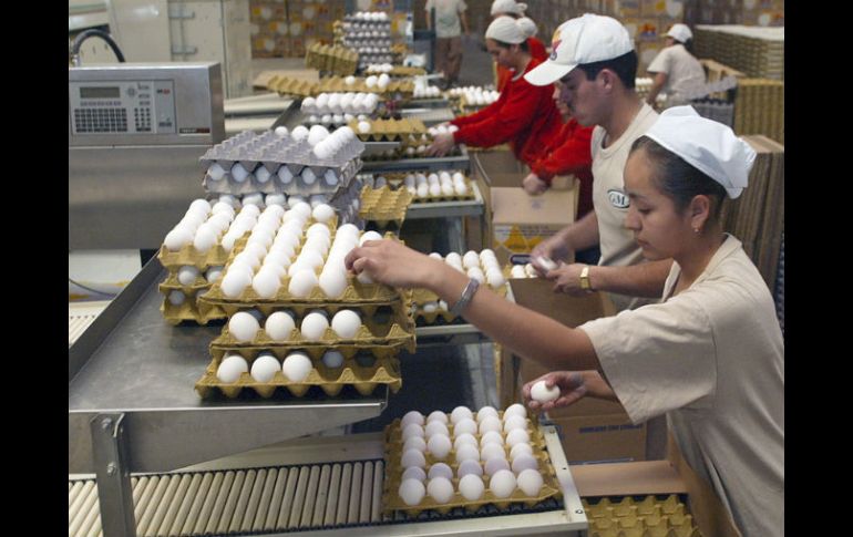 Productores y dirigentes aseguran que Ferrari tomó algunas decisiones que han complicado la situación de la industria avícola. ARCHIVO  /