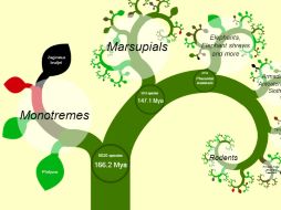 La tecnología utilizada por los mapas digitales permiten acercarse y alejarse sobre un punto determinado. ESPECIAL  /