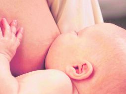 Al menos hasta los seis primeros meses de vida, se recomienda dar a los bebés leche materna.  /
