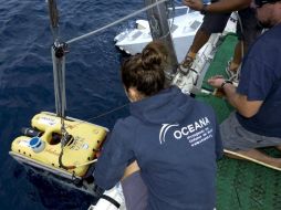 Oceana ha realizado inmersiones con resultados que dan poco para el optimismo. ARCHIVO  /