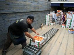 Las exportaciones mexicanas de jitomate suponen un negocio de 18 mil millones de dólares. ARCHIVO  /