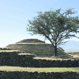 Atorado, plan de manejo de Guachimontones
