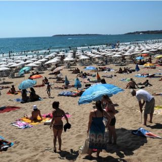 Emisión de gases de efecto invernadero se redujo un 2.5 por ciento