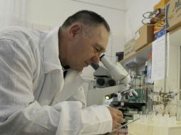 Científicos en Oregón han creado embriones con genes de un hombre y dos mujeres. ARCHIVO  /