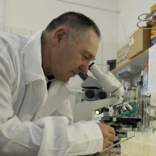 Producen embriones con dos mujeres y un hombre