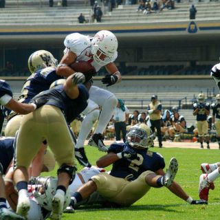 La ONEFA define sus semifinales