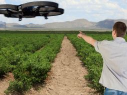 El investigador del Cinvestav dijo que actualmente el proyecto se encuentra en última fase en el equipo de Robótica y Visión. ID  /