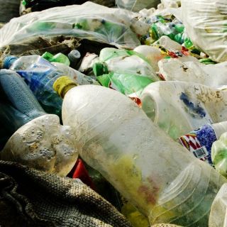 Récord Guinness ecuatoriano por reciclaje de botellas de plástico