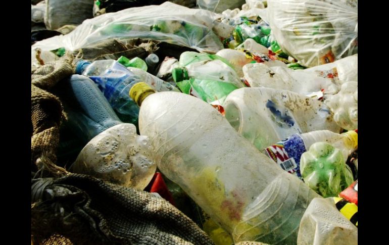 Más de 39 toneladas de ejemplo para un mundo que urge cambie su mentalidad ecológica. ARCHIVO  /