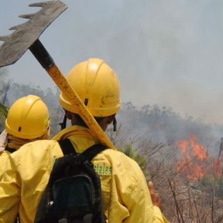 Zapopan pretende reducir 40% los incendios forestales