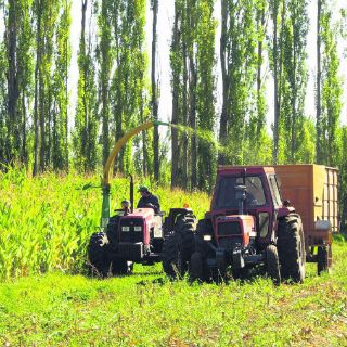 La bolsa agropecuaria inicia ''al revés''