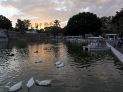 El funcionario dijo que han sido cuidadosos con el manejo de los animales que ahí se encuentran. ARCHIVO  /