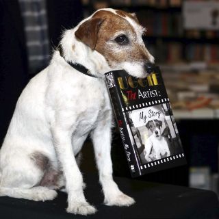 Uggie, el perrito de “El Artista” presenta biografía