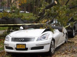 Un auto aplastado por un arbol caído en Queens, Nueva York. EFE  /