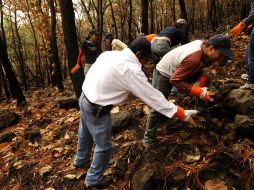 Este año de parte de la Federación se invirtieron 34 millones de pesos en La Primavera. ARCHIVO  /