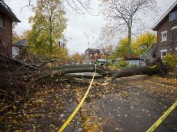 Toronto y sus alrededores registraron en anoche los vientos de mayor fuerza. XINHUA  /
