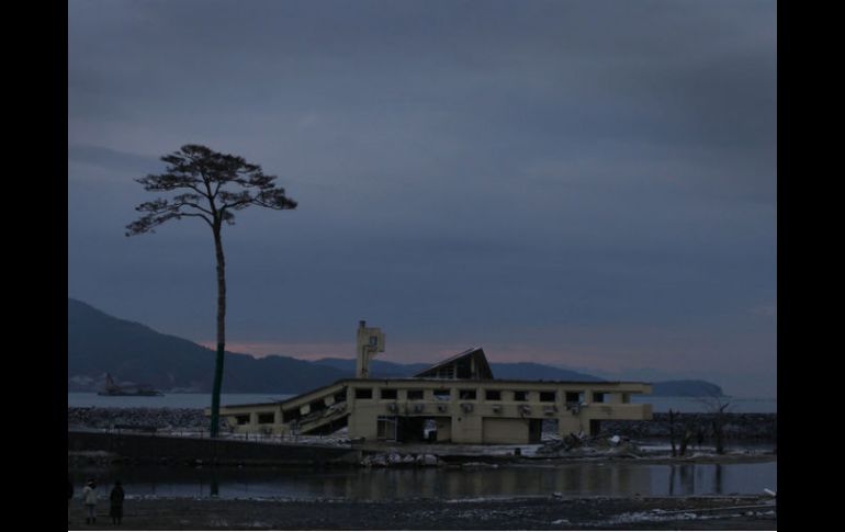 Un ejemplo podría ser : ''Las casas tsunamiresilientes están hechas para ser recuperadas tras el paso del agua''. ARCHIVO  /