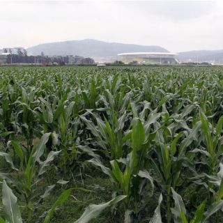Producción agrícola emite 29% de gases invernadero