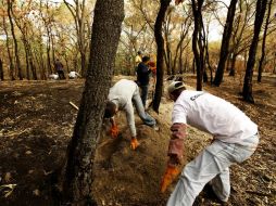 Municipios de regiones Centro, Sierra de Amula, Costa, Norte y Sierra Occidental, concentraron 67.7% de los recursos. ARCHIVO  /