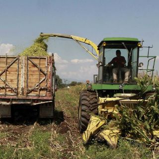 Jalisco, principal proveedor de alimentos en el país