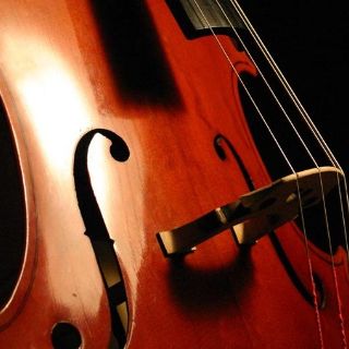 Violonchelo Goffriller alcanza más de 5 millones de pesos en Londres