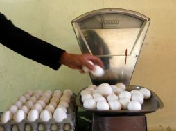 La Profeco impuso multas por un total de 15.2 MDP por prácticas irregulares y abuso en la venta de huevo de julio a octubre pasados.  /