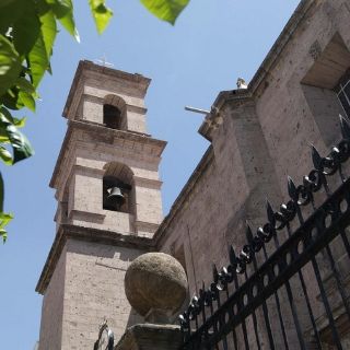 Santa Tere recupera su voz