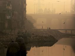 La defecación al aire libre ocurre sobre todo a primera hora de la mañana. AP  /