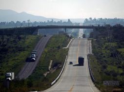 Jalisco está entre las primeras entidades en las que se aplicará el esquema. ARCHIVO  /