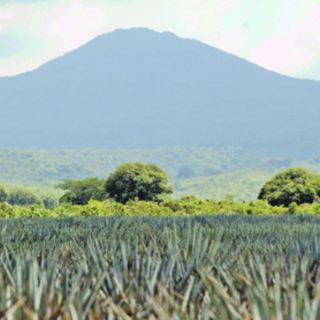 Tequileros esperan fallo final contra polémico vertedero