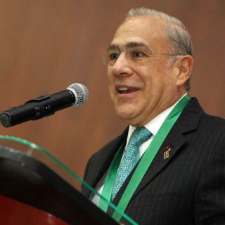 La OCDE aclara que Gurría no sugirió a México tasa específica de IVA