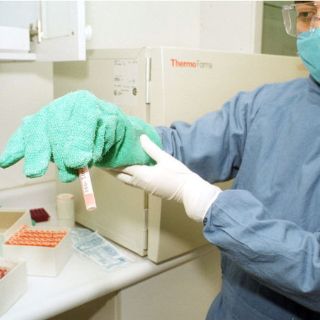 Sugieren homologar tratamientos para pacientes con hemofilia