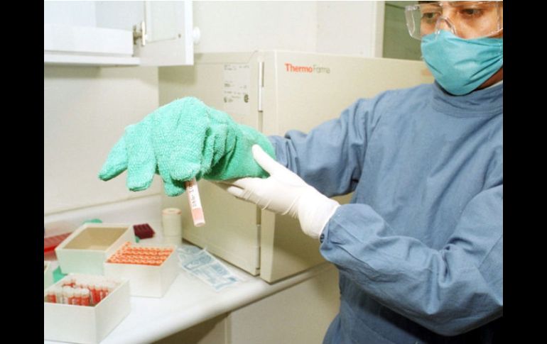 El tratamiento de la hemofilia consiste en un derivado del cultivo de células humanas. ARCHIVO  /