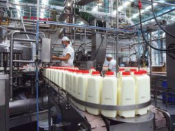 La leche es uno de los producto que más ha sufrido la inflación. ARCHIVO  /