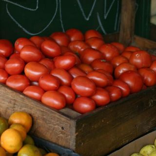 Ferrari dialoga sobre el comercio de jitomate en EU