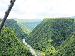 COMPLEMENTO. El paisaje es una mezcla de paredes verdes por la vegetación y el río las surca.  /