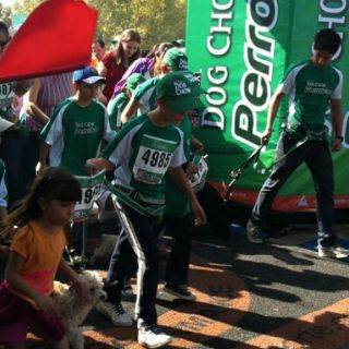 Perrotón 2012 llega al Parque Metropolitano tapatío