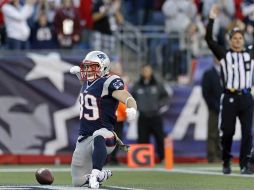 Los Patriotas siguen como fuertes contendientes en la Americana. AP  /