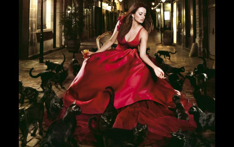 Penélope Cruz juega con la superstición de los gatos negros. EFE  /