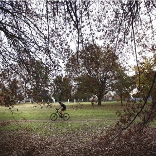 Argentina busca crear el primer parque nacional
