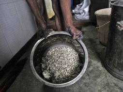 Se estima que los precios de la plata cotizarán entre un mínimo de 30.90 dólares y un máximo de 36 dólares durante el año. ARCHIVO  /