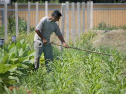 Los participantes al coloquio buscan soluciones a los problemas del campo del país.  /