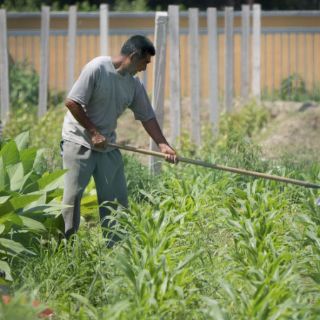 Impulsan crecimiento económico del campo mexicano en Foro Agroalimentario