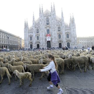 Agujas del Duomo de Milán pueden apadrinarse